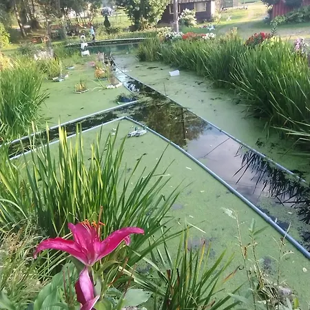 Herbergerowka Na Wsi Luxe tent *