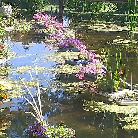 Luxe tent Herbergerowka Na Wsi