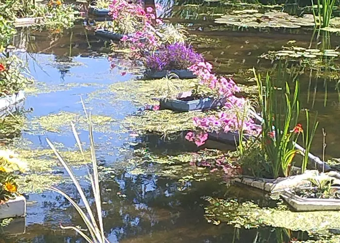 Luxe tent Herbergerowka Na Wsi