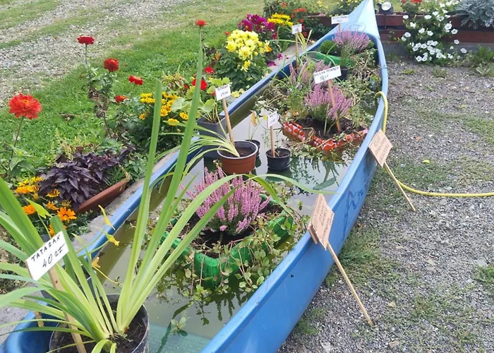 Luxe tent Herbergerowka Na Wsi